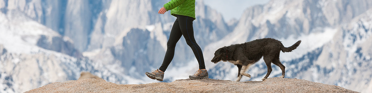 A woman hiking with her dog across a mountain with a snow-capped mountain range in the background